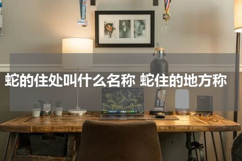 蛇的住处叫什么名称 蛇住的地方称