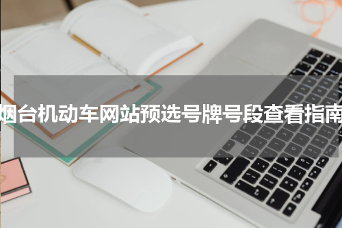 烟台机动车网站预选号牌号段查看指南