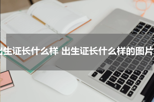 出生证长什么样 出生证长什么样的图片