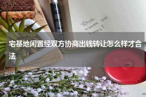 宅基地闲置经双方协商出钱转让怎么样才合法