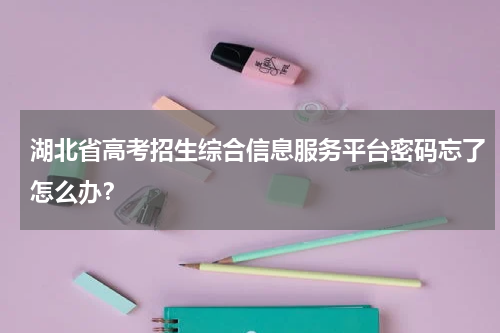 湖北省高考招生综合信息服务平台密码忘了怎么办？