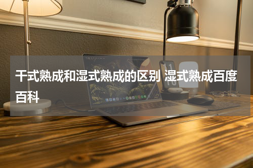 干式熟成和湿式熟成的区别 湿式熟成百度百科