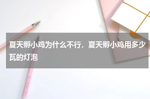 夏天孵小鸡为什么不行，夏天孵小鸡用多少瓦的灯泡
