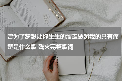 曾为了梦想让你生生的溜走惩罚我的只有痛楚是什么歌 残火完整歌词