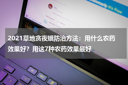 2021草地贪夜蛾防治方法：用什么农药效果好？用这7种农药效果最好
