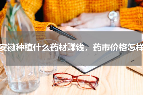 安徽种植什么药材赚钱，药市价格怎样