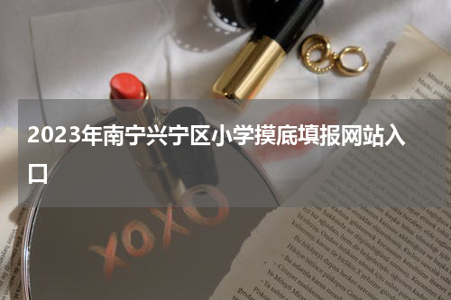 2023年南宁兴宁区小学摸底填报网站入口