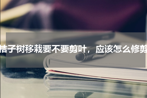 桔子树移栽要不要剪叶，应该怎么修剪