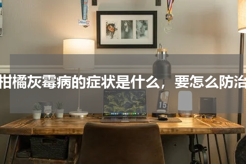 柑橘灰霉病的症状是什么，要怎么防治