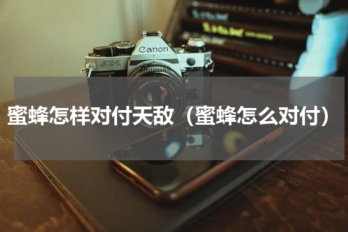 蜜蜂怎样对付天敌（蜜蜂怎么对付）