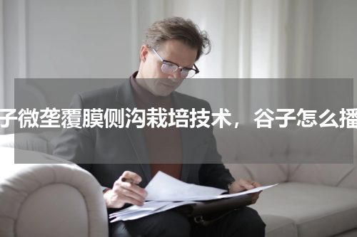 谷子微垄覆膜侧沟栽培技术，谷子怎么播种