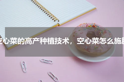 空心菜的高产种植技术，空心菜怎么施肥