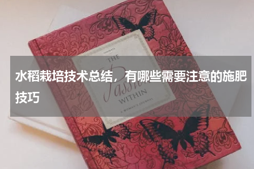 水稻栽培技术总结，有哪些需要注意的施肥技巧