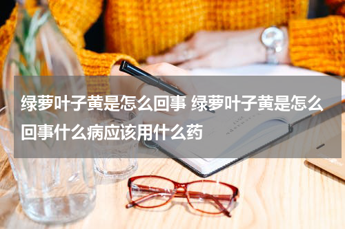 绿萝叶子黄是怎么回事 绿萝叶子黄是怎么回事什么病应该用什么药