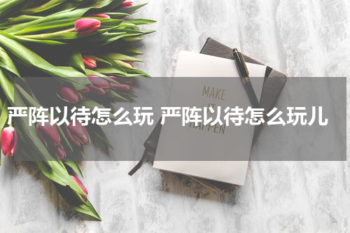 严阵以待怎么玩 严阵以待怎么玩儿