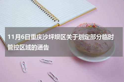 11月6日重庆沙坪坝区关于划定部分临时管控区域的通告