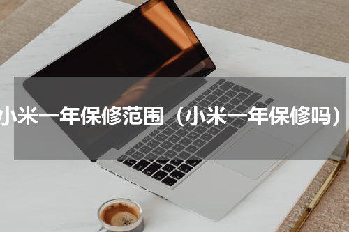 小米一年保修范围（小米一年保修吗）