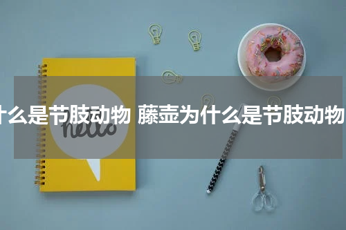 什么是节肢动物 藤壶为什么是节肢动物