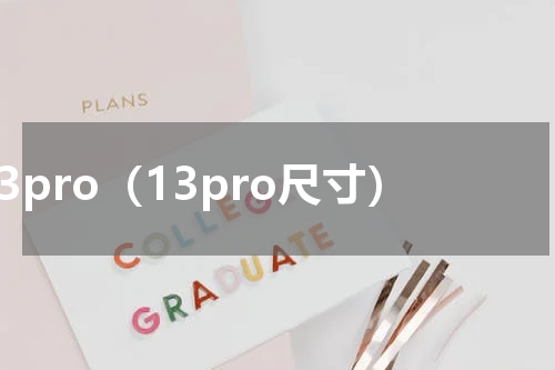 13pro（13pro尺寸）