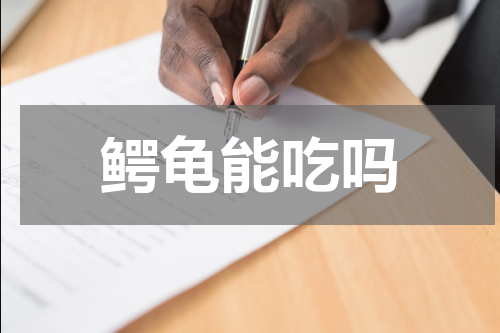 鳄龟能吃吗