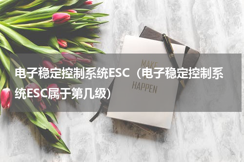 电子稳定控制系统ESC（电子稳定控制系统ESC属于第几级）