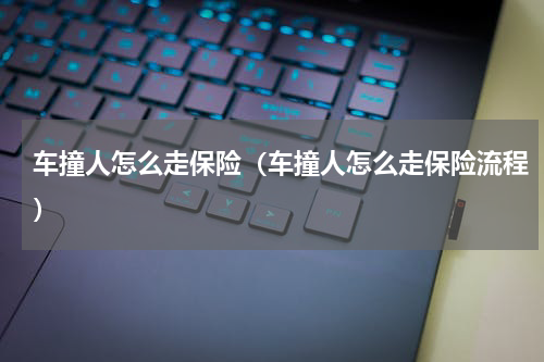 车撞人怎么走保险（车撞人怎么走保险流程）