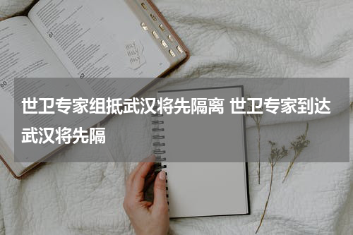 世卫专家组抵武汉将先隔离 世卫专家到达武汉将先隔