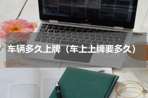 车辆多久上牌（车上上牌要多久）