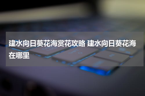 建水向日葵花海赏花攻略 建水向日葵花海在哪里