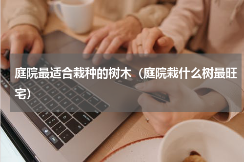 庭院最适合栽种的树木（庭院栽什么树最旺宅）