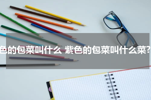 紫色的包菜叫什么 紫色的包菜叫什么菜?