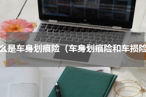 什么是车身划痕险（车身划痕险和车损险）