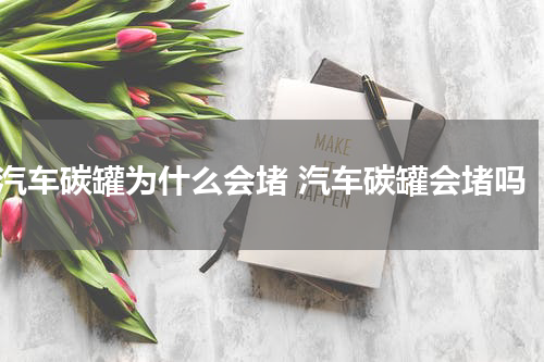 汽车碳罐为什么会堵 汽车碳罐会堵吗