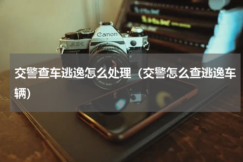 交警查车逃逸怎么处理（交警怎么查逃逸车辆）