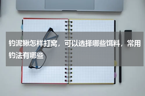 钓泥鳅怎样打窝，可以选择哪些饵料，常用钓法有哪些