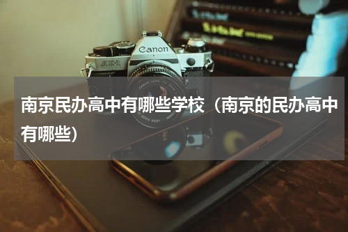 南京民办高中有哪些学校（南京的民办高中有哪些）