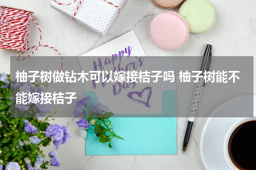 柚子树做钻木可以嫁接桔子吗 柚子树能不能嫁接桔子
