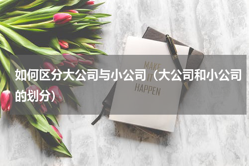 如何区分大公司与小公司（大公司和小公司的划分）
