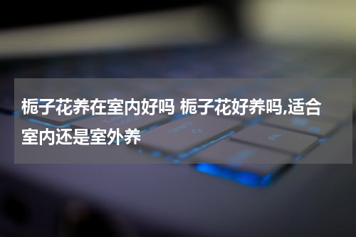 栀子花养在室内好吗 栀子花好养吗,适合室内还是室外养