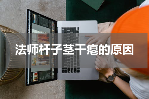 法师杆子茎干瘪的原因